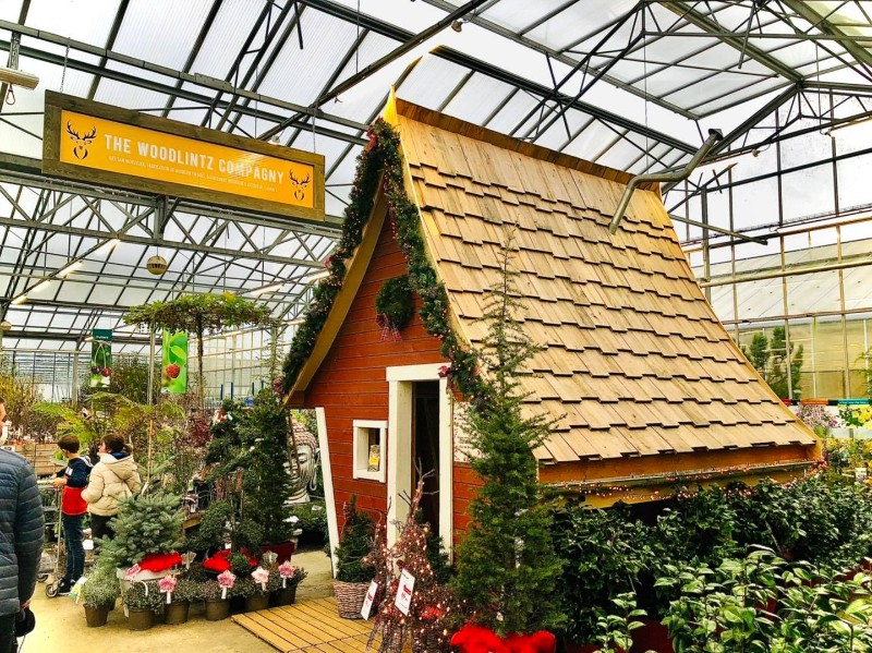 Construction de cabane en bois